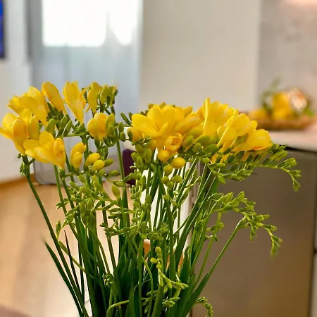 Lägenhetshotell Palazzina B - Contemporary 4*