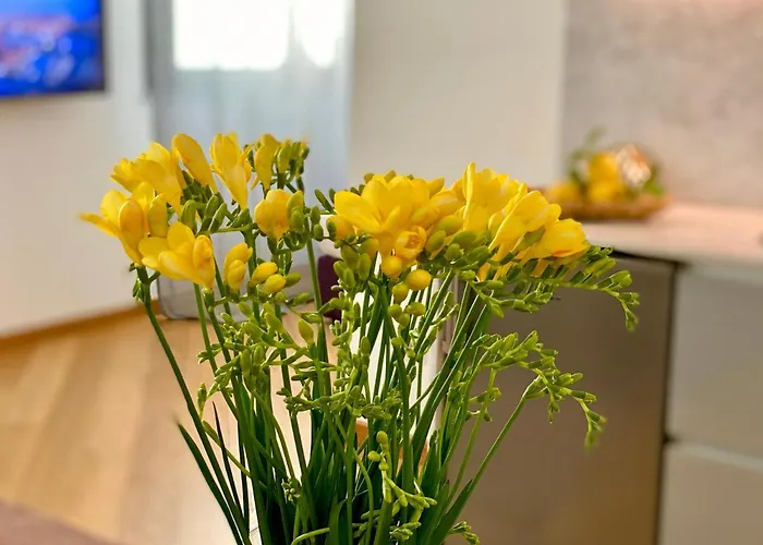 Aparthotel Palazzina B - Contemporary 4*